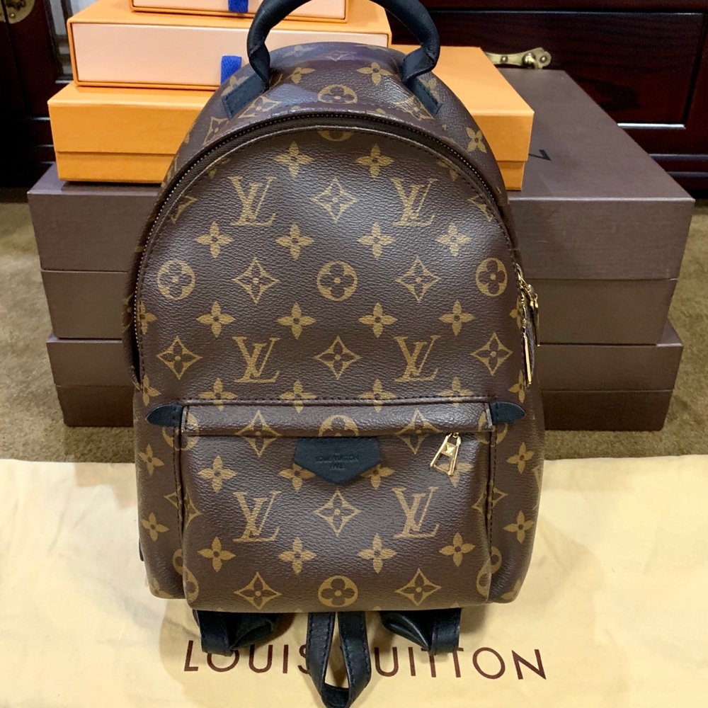 Louis Vuitton Palm Springs PM Monogram